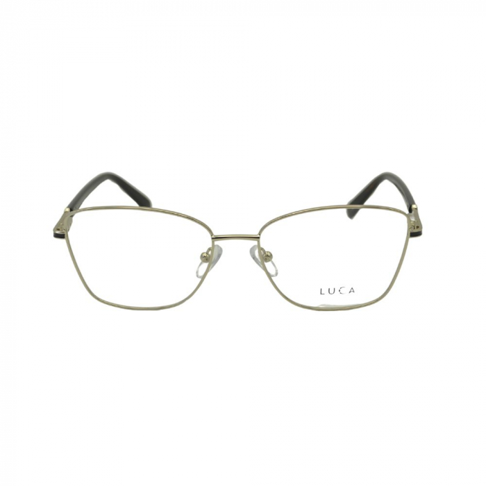 Luca 1131-1 [2]