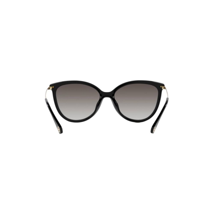 Michael Kors 2184U-30058G Dupont [3]