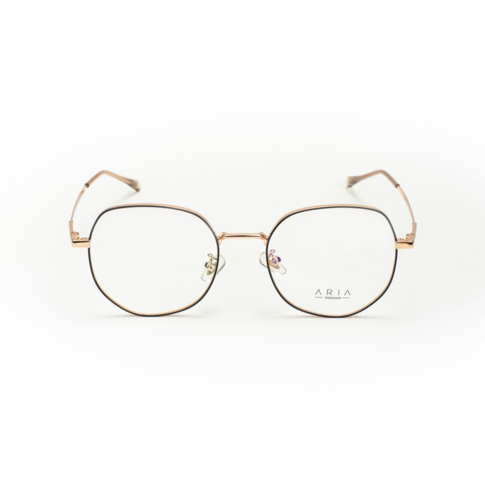 Rama de ochelari Aria AA1027-C2 [2]
