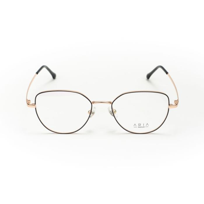 Rame de ochelari Aria AA1012-C3 [2]