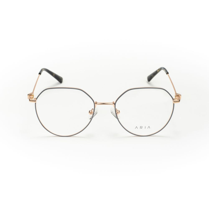Rame de ochelari Aria AA1022-C2 [2]