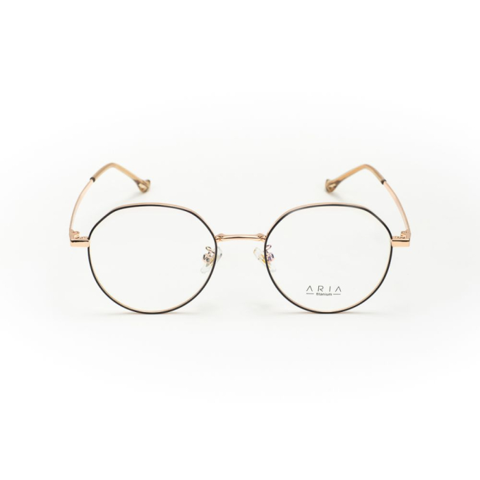 Rame de ochelari Aria AA1029-C2 [2]