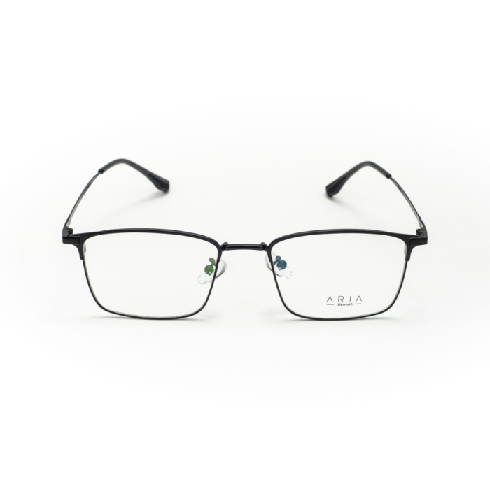 Rame de ochelari Aria AA1039-C4 [2]