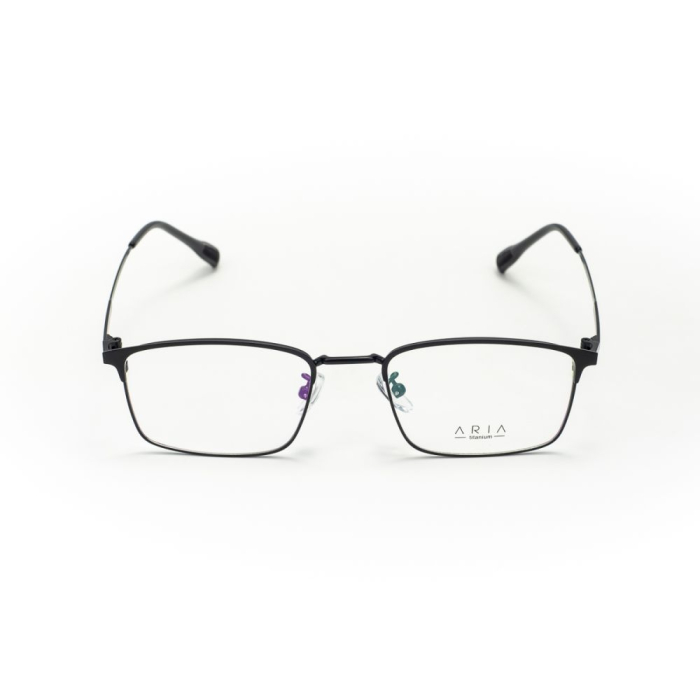 Rame de ochelari Aria AA1043-C4 [2]