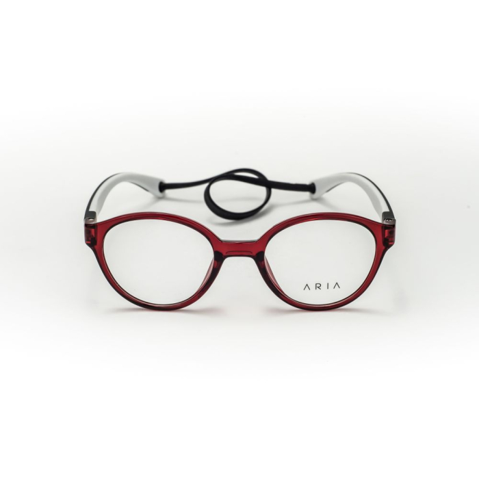 Rama de ochelari Aria AK110-2 [2]