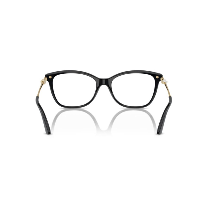 Rama de ochelari Jimmy Choo 3007HB-5000 [4]
