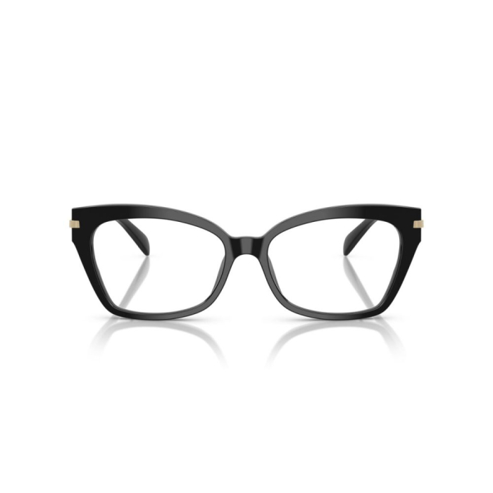Rama de ochelari Michael Kors 4146U-3005 Montego bay [2]
