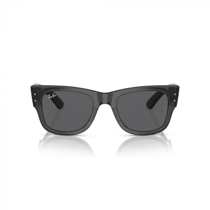 Ray-Ban 0840S-1406B1 New wayfarer [2]
