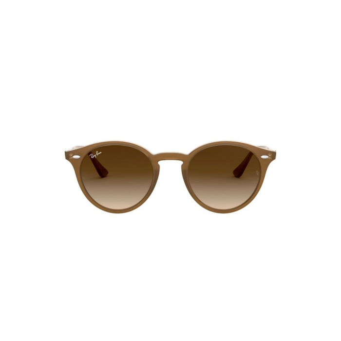 Ray-Ban 2180-616613 [4]
