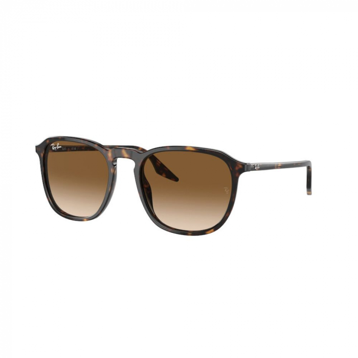 Ray-Ban 2203-902/51 [1]