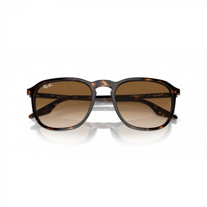 Ray-Ban 2203-902/51 [3]