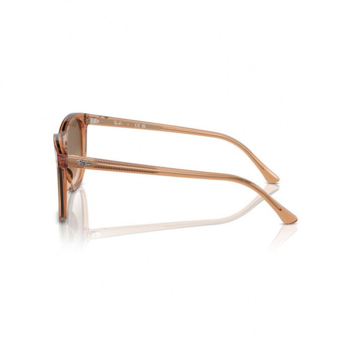 Ray-Ban 2210-676451 [3]