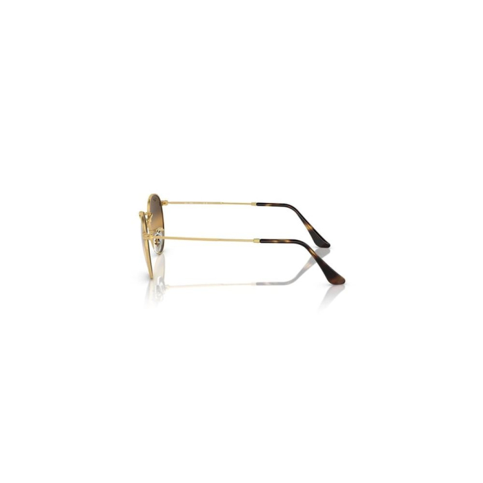 Ray-Ban 3447-50-001/G5 Round Chromance Polarizat [5]