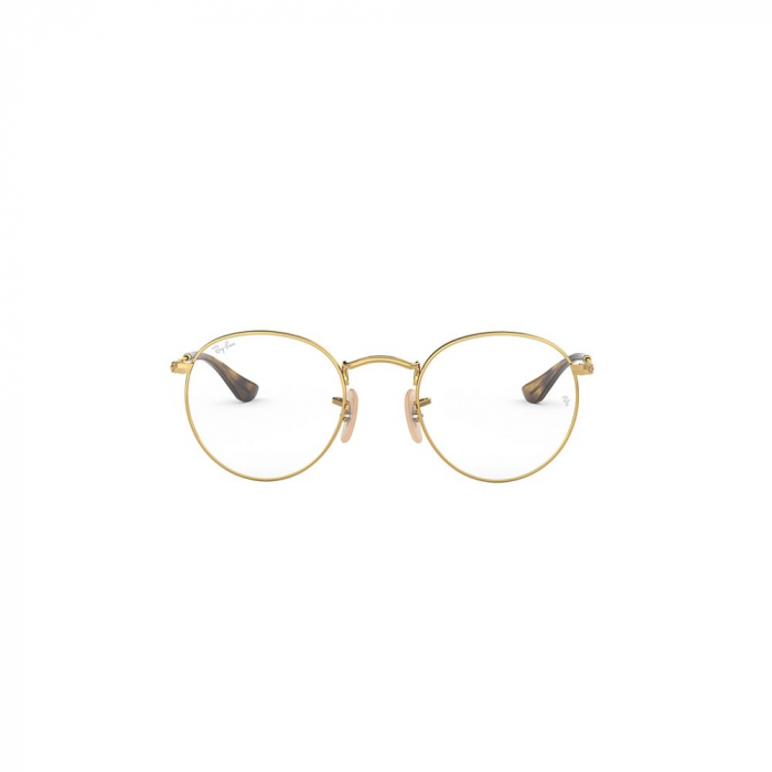 Ray-Ban 3447V-2500 Round [3]