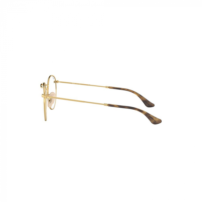 Ray-Ban 3447V-2500 Round [2]