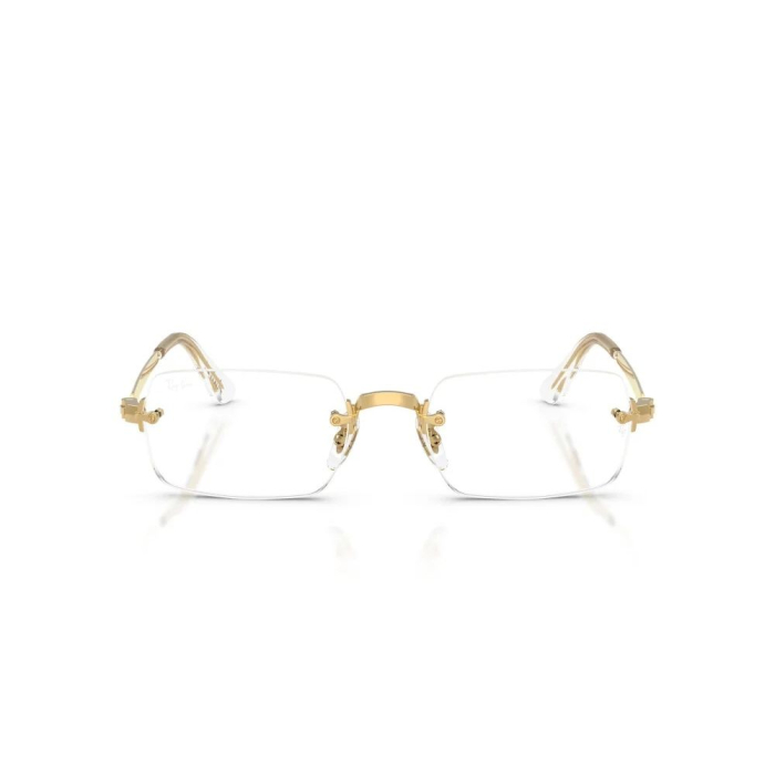 Ray-Ban 3928V-2500 Asap Rocky [3]