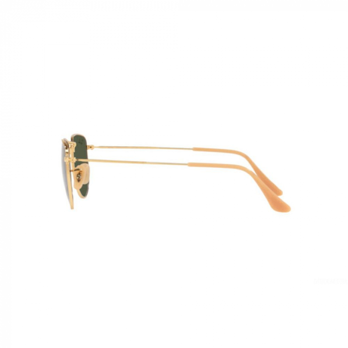 Ray-Ban 3958-919631 Elon [3]