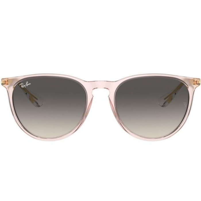 Ray-Ban 4171-674211 Erika [2]