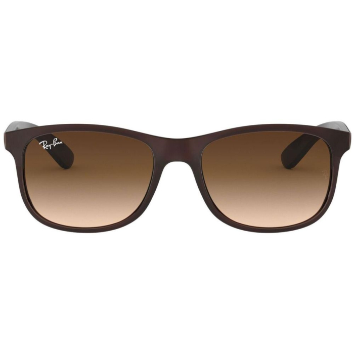 Ray-Ban 4202-607313 Andy [4]