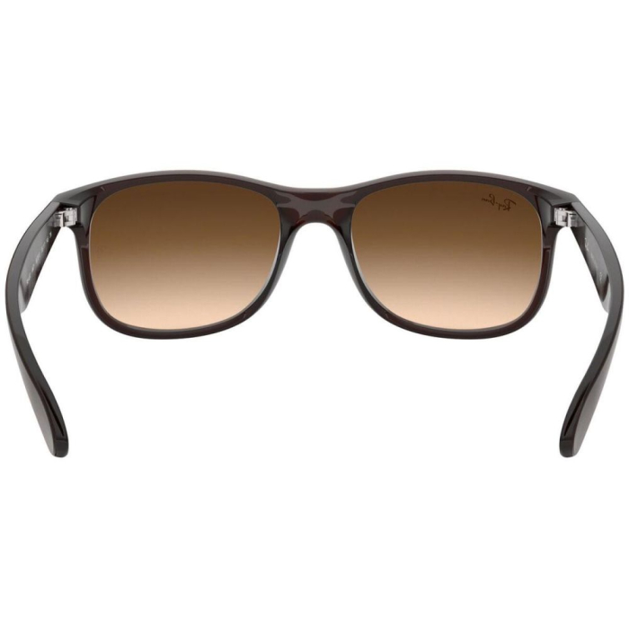 Ray-Ban 4202-607313 Andy [3]