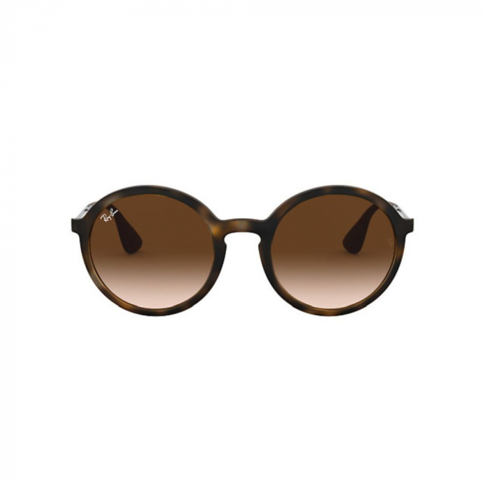 Ray-Ban 4221-622/8G [2]