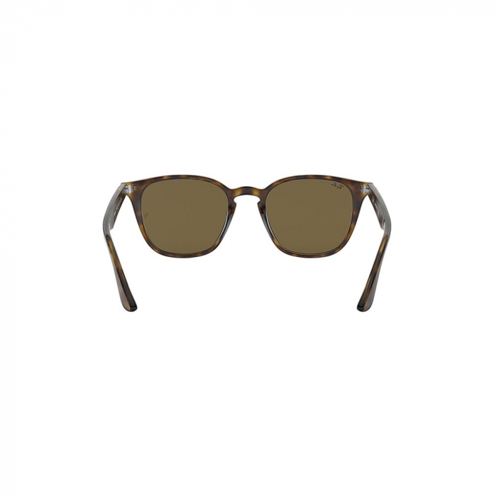 Ray-Ban 4258-710/73 [4]