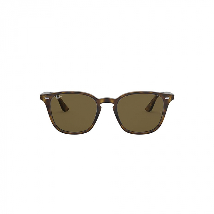 Ray-Ban 4258-710/73 [2]