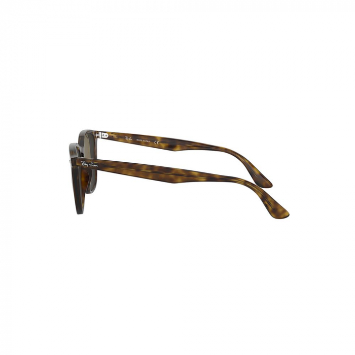 Ray-Ban 4258-710/73 [3]