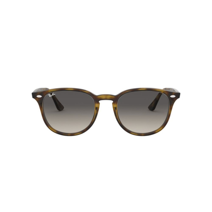 Ray-Ban 4259-710/11 [4]