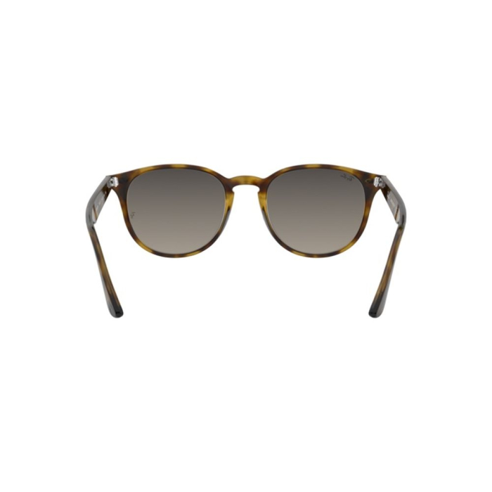 Ray-Ban 4259-710/11 [3]