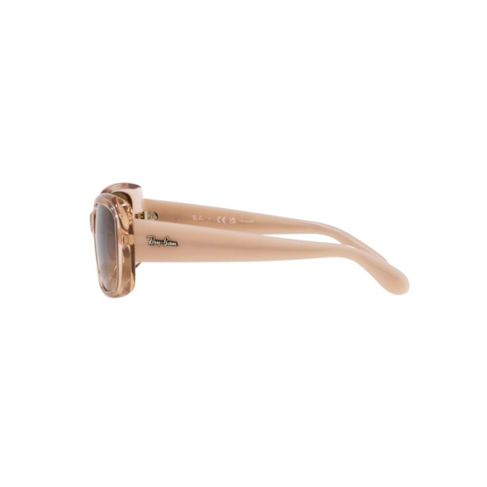 Ray-Ban 4389-6644M2 Polarizat [2]