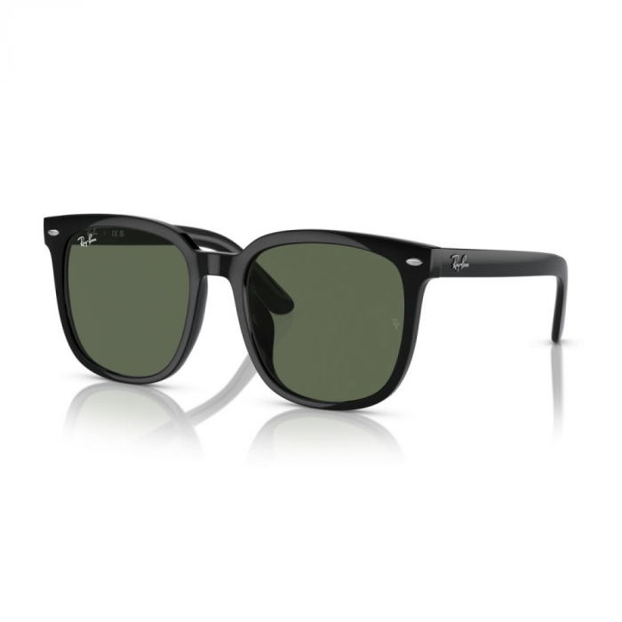 Ray-Ban 4401D-601/71 [1]