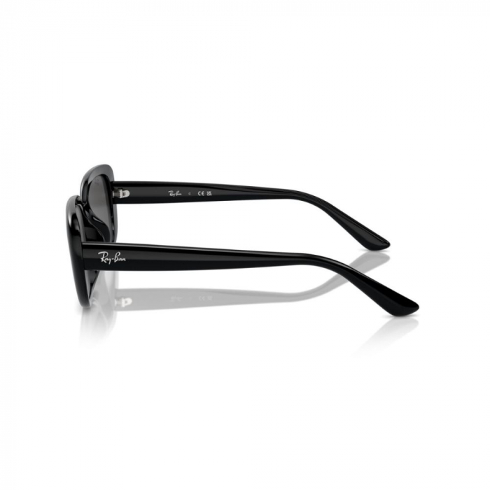 Ray-Ban 4421D-667787 [3]