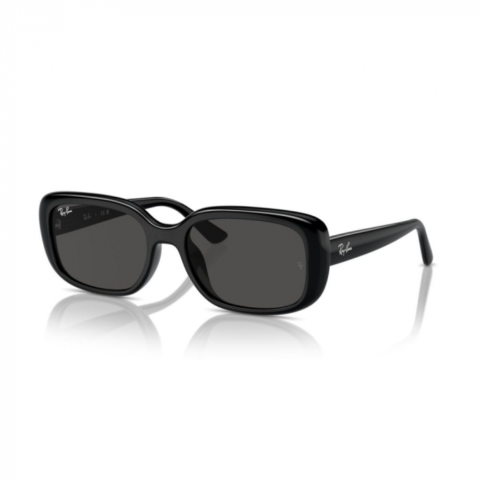 Ray-Ban 4421D-667787 [1]