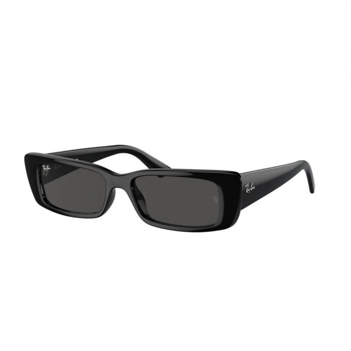 Ray-Ban 4425-667787 Teru [1]