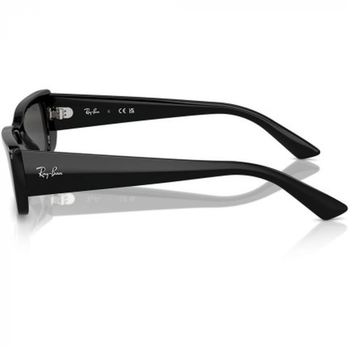 Ray-Ban 4425-667787 Teru [3]