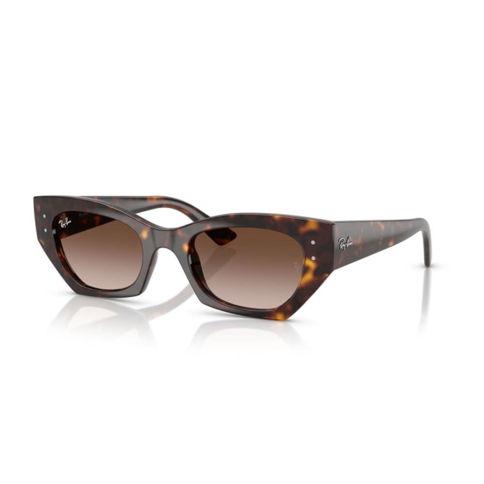  Ray-Ban 4430-135913 Zena [1]