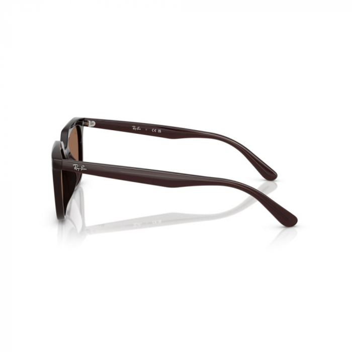 Ray-Ban 4439D-623173 [3]