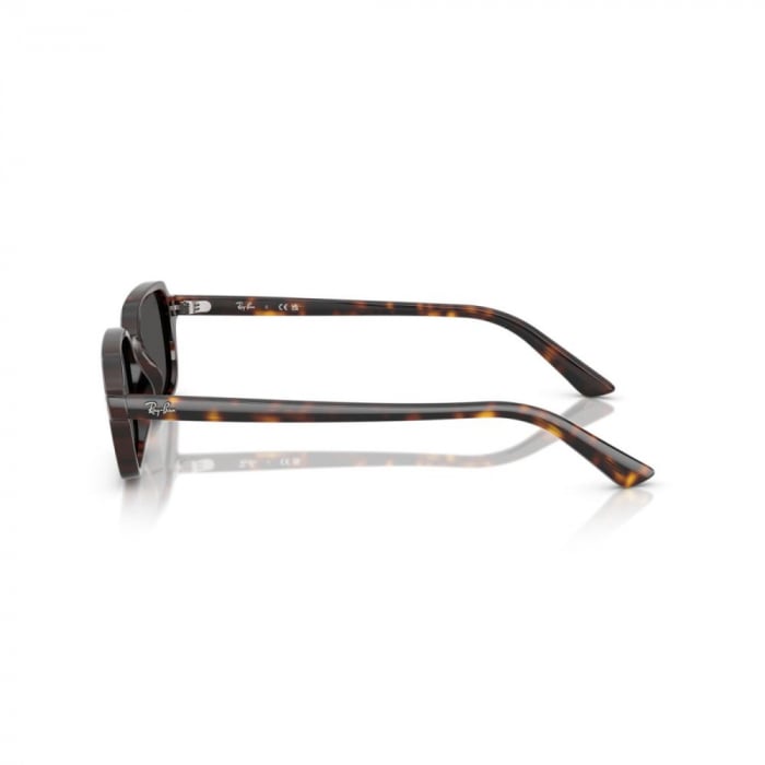 Ray-Ban 4455-135987 Zuri [3]