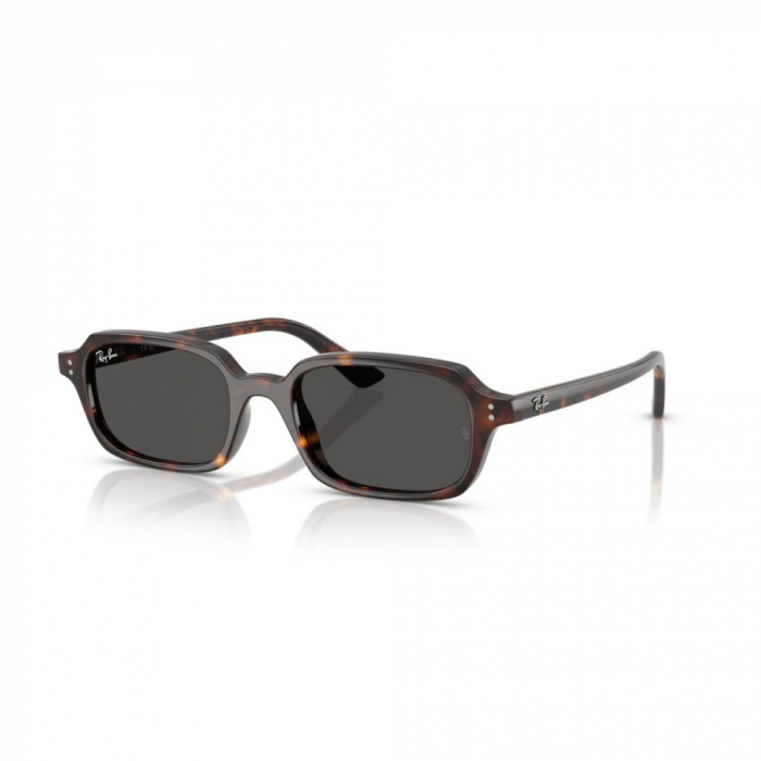 Ray-Ban 4455-135987 Zuri [1]