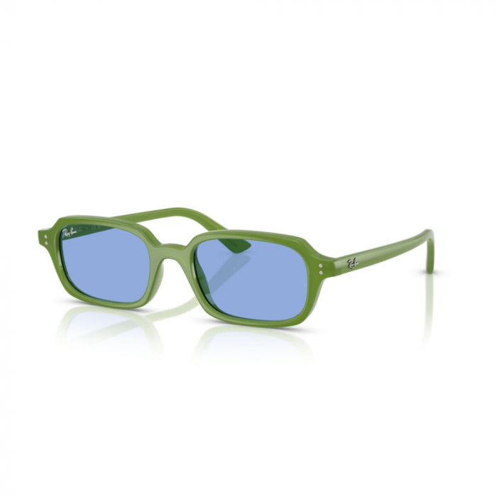 Ray-Ban 4455-681080 Zuri [1]
