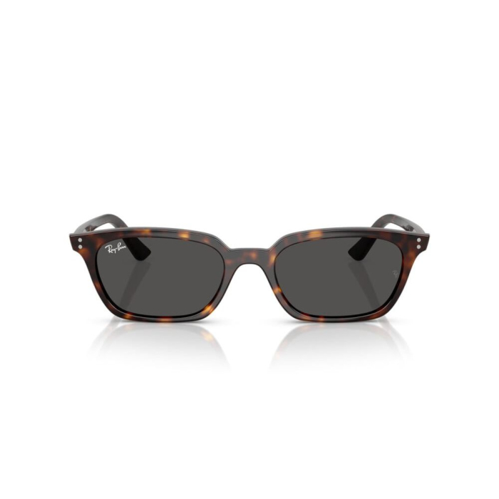  Ray-Ban 4456-135987 Zaya [3]