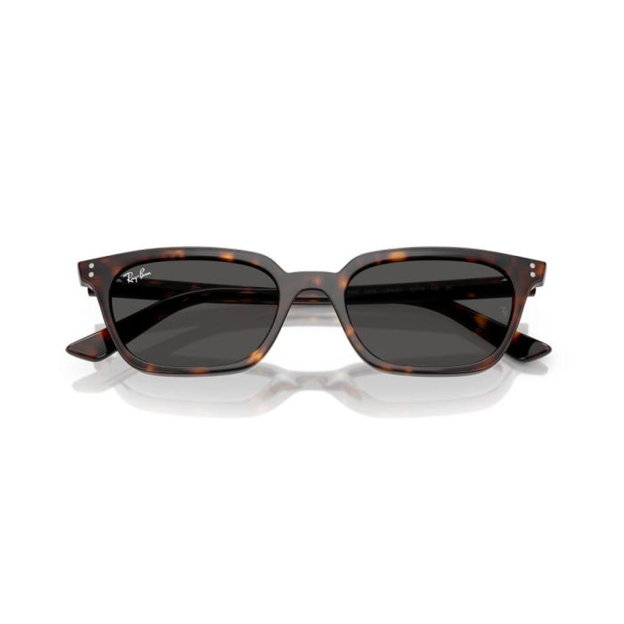  Ray-Ban 4456-135987 Zaya [4]