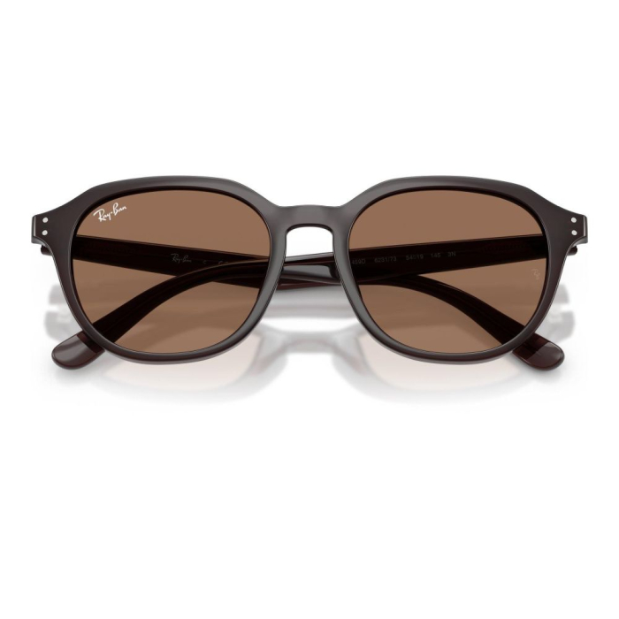 Ray-Ban 4459D-623173 [4]