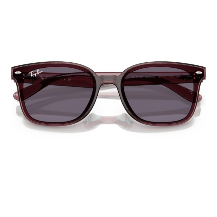Ray-Ban 4461D-659373 [4]