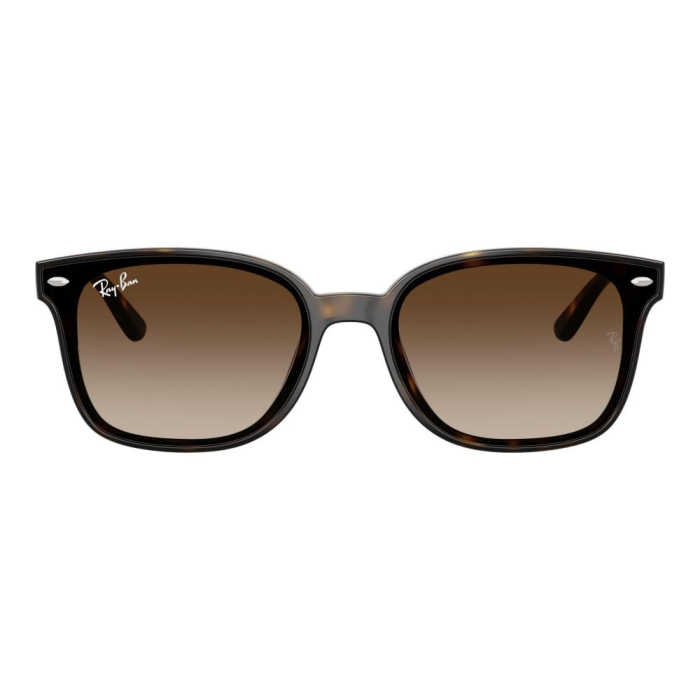 Ray-Ban 4461D-710/13 [3]