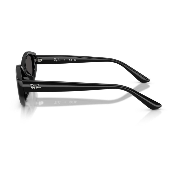 Ray-Ban 4473D-667787 [2]