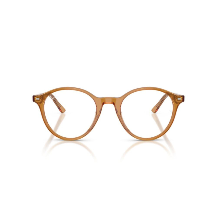 Ray-Ban 5430-8439 Bernard [3]