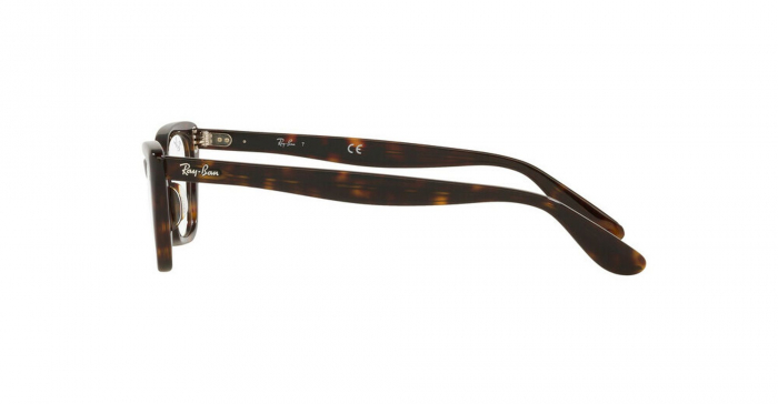 Ray Ban 5499-2012 [3]