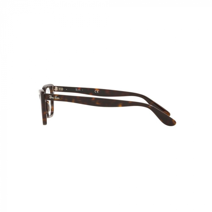 Ray-Ban 5499 2012 Lady Burbank [8]